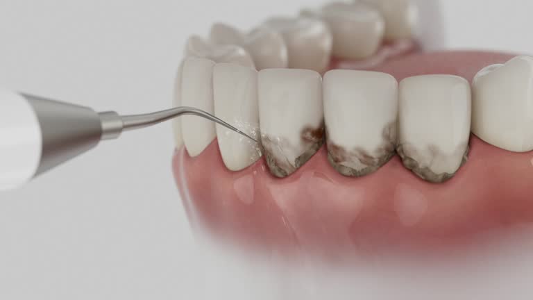 Reliable Dental contractor in Calhoun County County, IL by Dentist Open Now